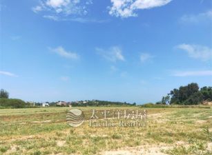 金門海邊農地可望海迎晨曦