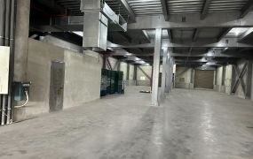 林口工業區旁新穎挑高廠房