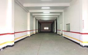 桃園大園長發工業區收租廠房