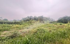 成功國小旁農地09-047 052337228