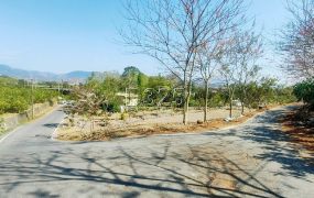 玉井馬路旁有水電農牧用地
