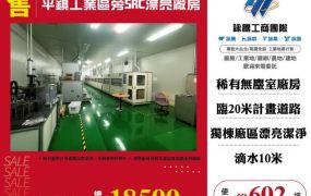 平鎮工業區旁SRC漂亮廠房