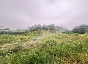 成功國小旁農地09-047 052337228