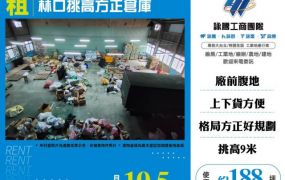 林口挑高方正倉庫149