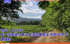 市351_利吉密境農地