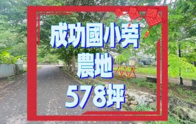 嘉義縣水上成功國小旁農地洽0929058016