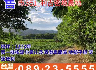 市351_利吉密境農地