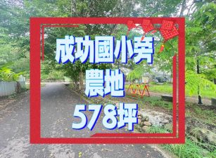 嘉義縣水上成功國小旁農地洽0929058016