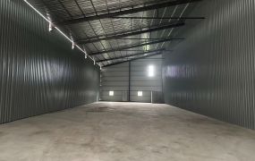 樹林10米路旁挑高鋼構廠房