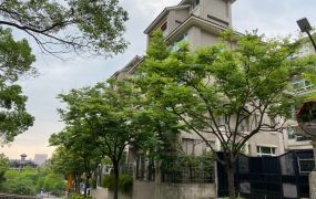 文山區政大二期重劃區美墅稀有釋出