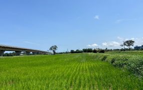 青埔交流道交通用地/專營大台北大桃園工業地廠房租賃買賣