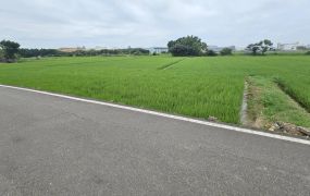 綠線捷運站G13小坪數徵收田/專營大台北大桃園工業地廠房租賃