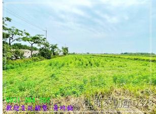 蚶寮雙面路大面寬農地台南培倫房屋土地王H。蝸牛居0931384262