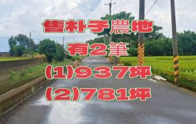 朴子市南勢竹農地~有2筆