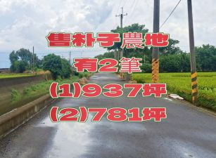 朴子市南勢竹農地~有2筆