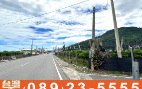建550_荒野近省道220坪甲種建地