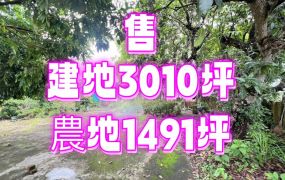 近中埔交流道大筆農建地