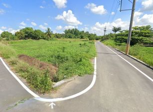 阿蓮合法鵝寮農地