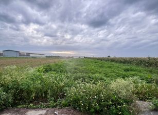 六腳竹子腳農地09-014    05-2337228