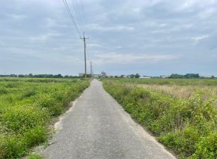 故宮南院旁美農地08-021  05-2337228