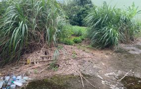 中壢台31線旁工業地/專營大台北大桃園工業地廠房租賃買賣
