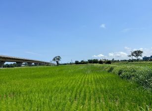 新屋區超美農地/專營大台北大桃園工業地廠房租賃買賣