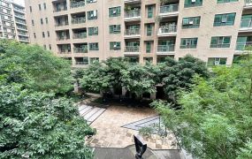 藝文大觀樹梢大三房車