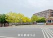 鹽水區 -  鹽水區大學城一樓套房 - 177萬
