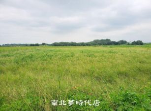後壁區 -  後壁超值有機農地 - 480萬