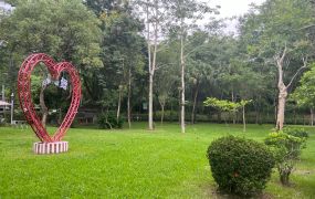 合法民宿🏠露營區⛺美濃漂亮生態莊園