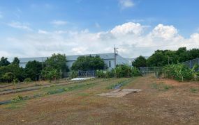 機場旁農牧用地