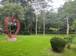 合法民宿🏠露營區⛺美濃漂亮生態莊園