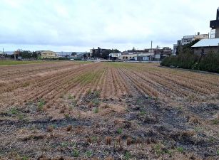 田野休閒好農地