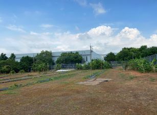 機場旁農牧用地