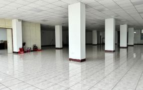 南崁RC+SC廠房(可依法廠登)/大台北大桃園工業地廠房租賃
