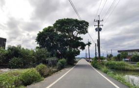 壯圍復興美農地