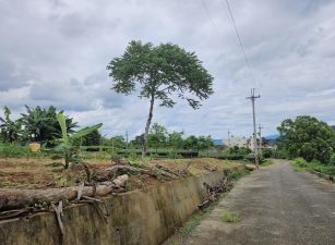 專任竹山工業區旁安平段臨路大面甲建丙建一般農業區