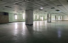 台中大腹地RC大廠房