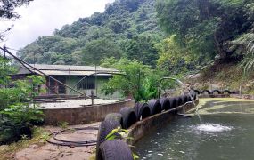 新竹縣橫山油羅休閒屋加魚池土地356坪