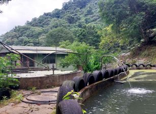 新竹縣橫山油羅休閒屋加魚池土地356坪