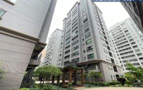 桃園~國泰紐約廣場3+1房車