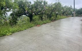 台南玉井休閒農地