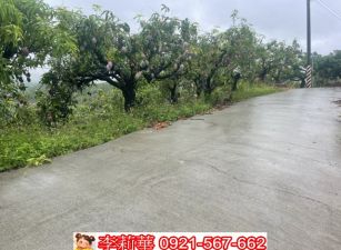 台南玉井休閒農地