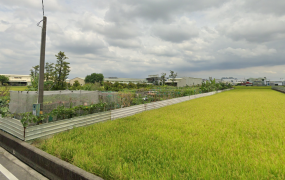 鳥松水管路 都內農地