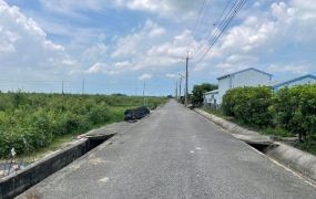 鹿草大路邊美農地08-036   05-2337228