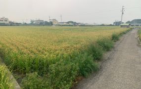 北斗大新路4.7分水電美田