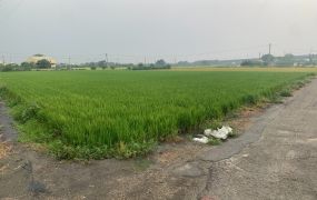 北斗大新路3.1分美田