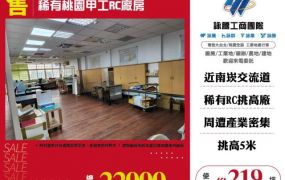 稀有桃園甲工RC廠房155