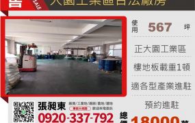 大園工業區挑高RC廠