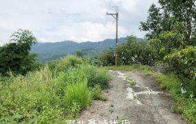 中西區 - 南化・好風景農地 - 698萬